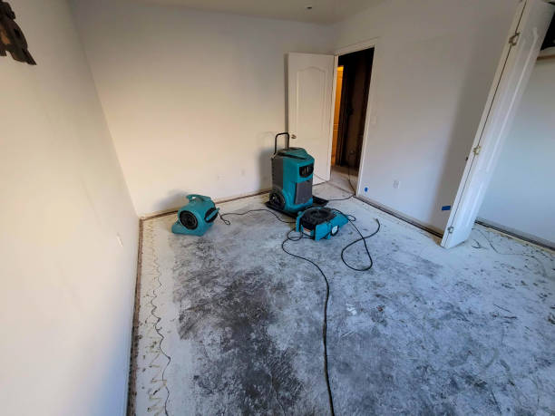 Best 24/7 water damage repair  in Mountain Top, PA