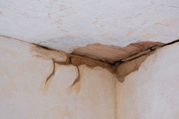 Best Flooded house restoration  in Mountain Top, PA