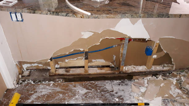 Best Mold removal after water damage  in Mountain Top, PA